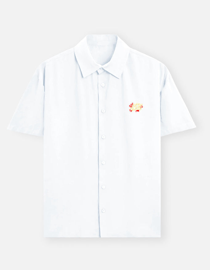 Color_White